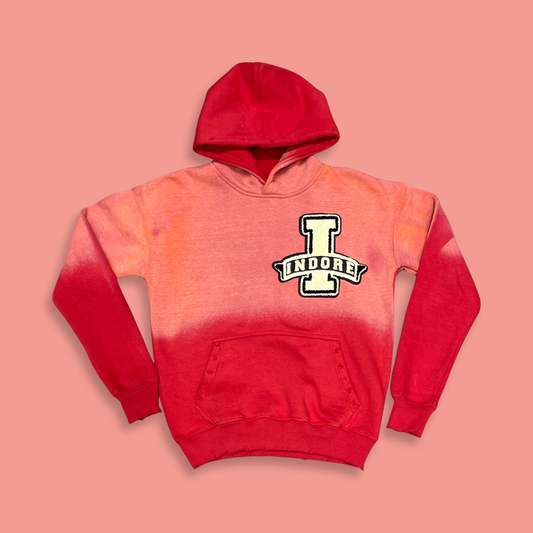 UNIVERSITY HOODIE - RED